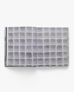 Jan Schoonhoven (David Zwirner Books)