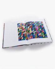 Load image into Gallery viewer, Bridget Riley: Works 1981–2015
