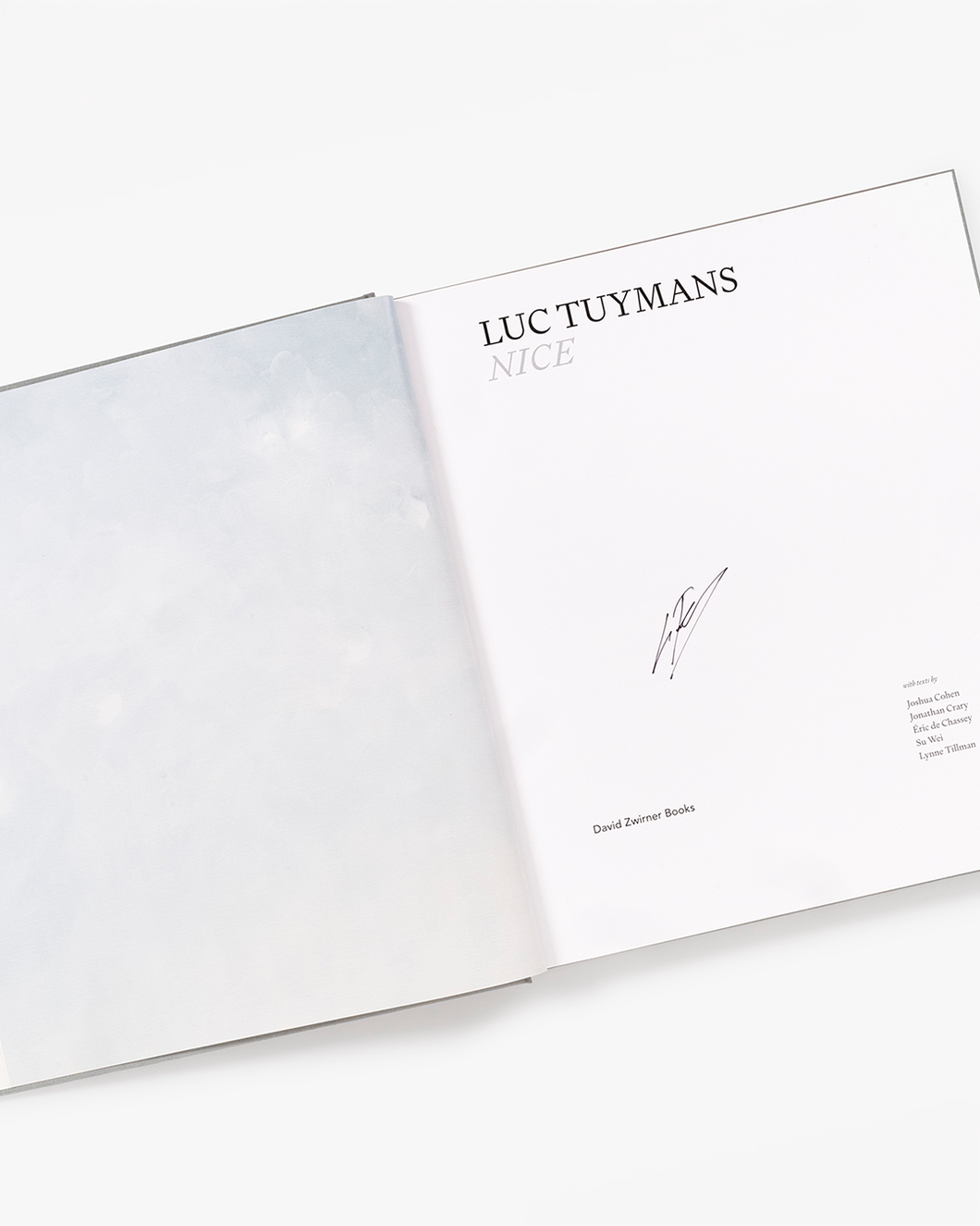 Luc Tuymans: Nice (Special Edition)