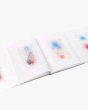 Load image into Gallery viewer, Luc Tuymans: Nice

