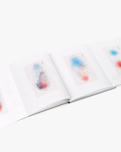Luc Tuymans: Nice