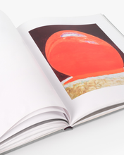 Load image into Gallery viewer, Luc Tuymans: Nice

