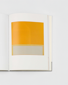 James Bishop (David Zwirner Books)