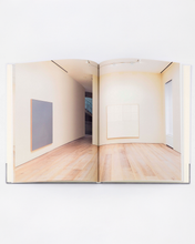 Load image into Gallery viewer, James Bishop (David Zwirner Books)
